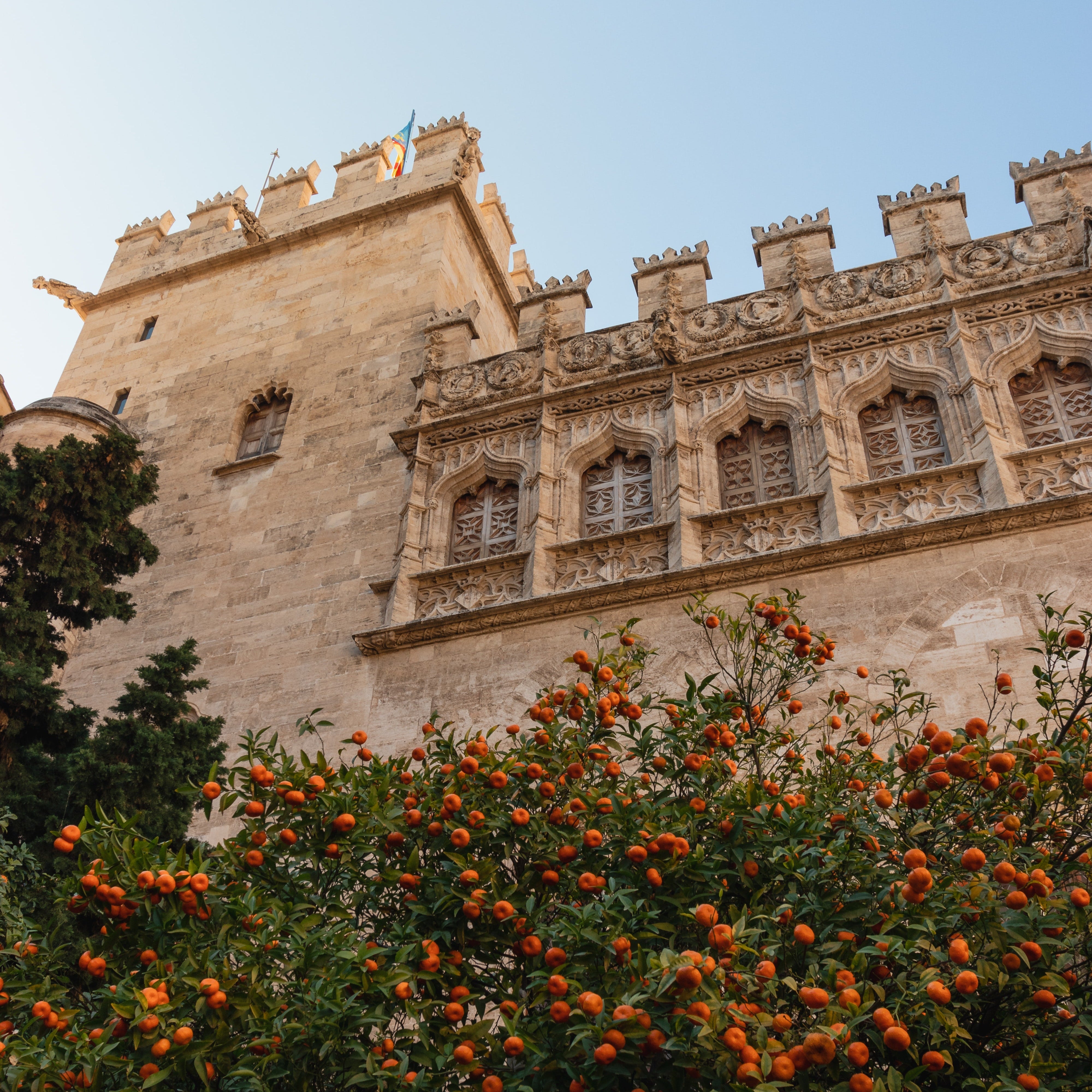 A Spanish Approach to Honey - Chandler Honey