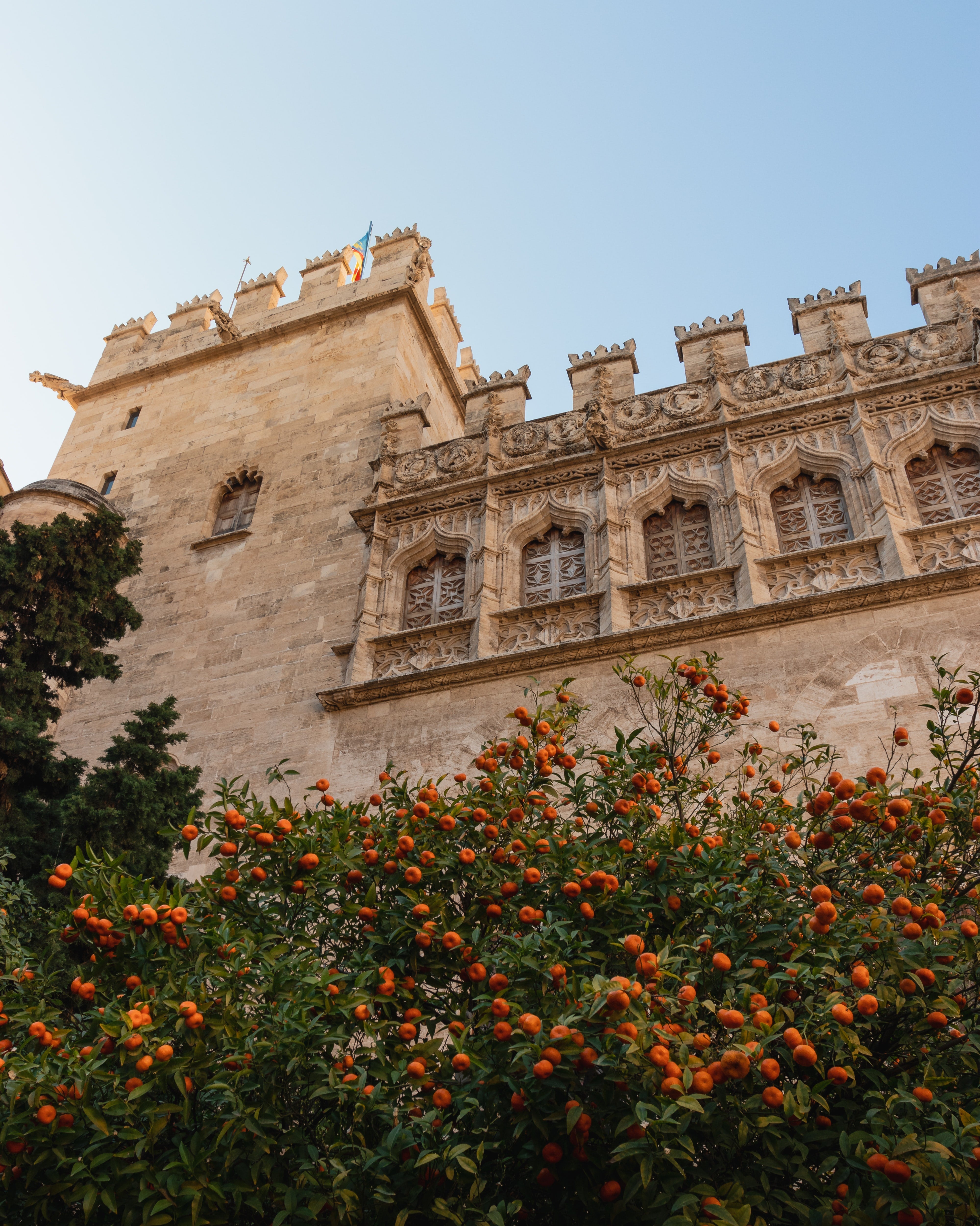 A Spanish Approach to Honey - Chandler Honey
