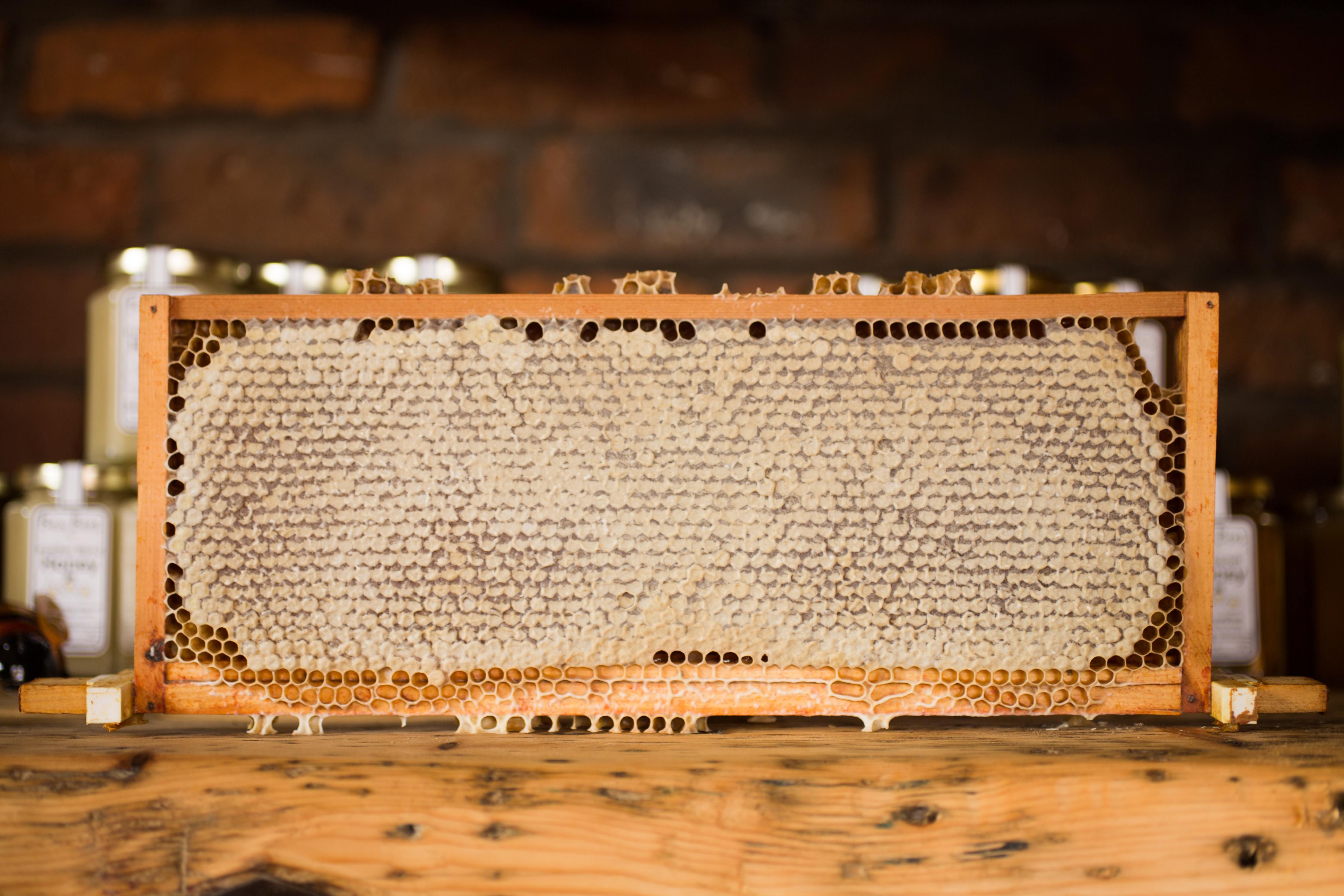 Blog: Honey Harvest 2020 - Chandler Honey